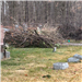 Photo of brush piles at Beckley Cemetery