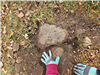 Photo of headstone located under the sod - Beckley Cemetery