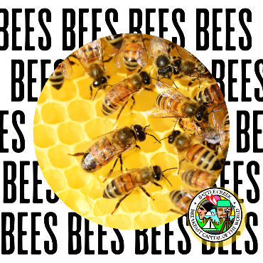 Image of honey bees on a comb, with the word 