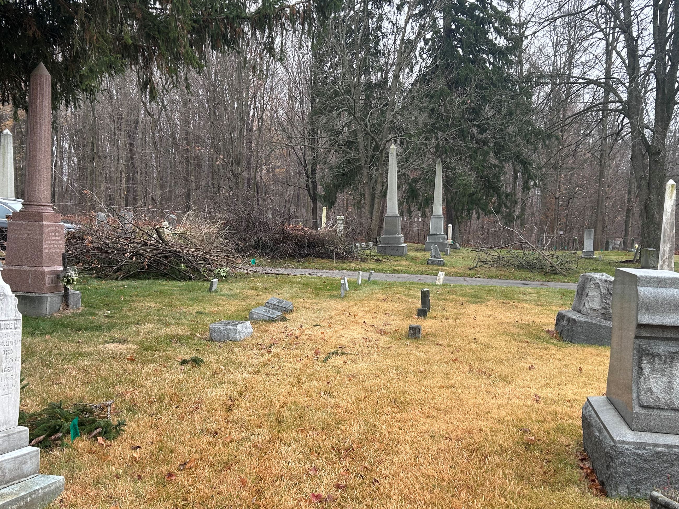 2nd Photo of brush piles at Beckley Cemetery