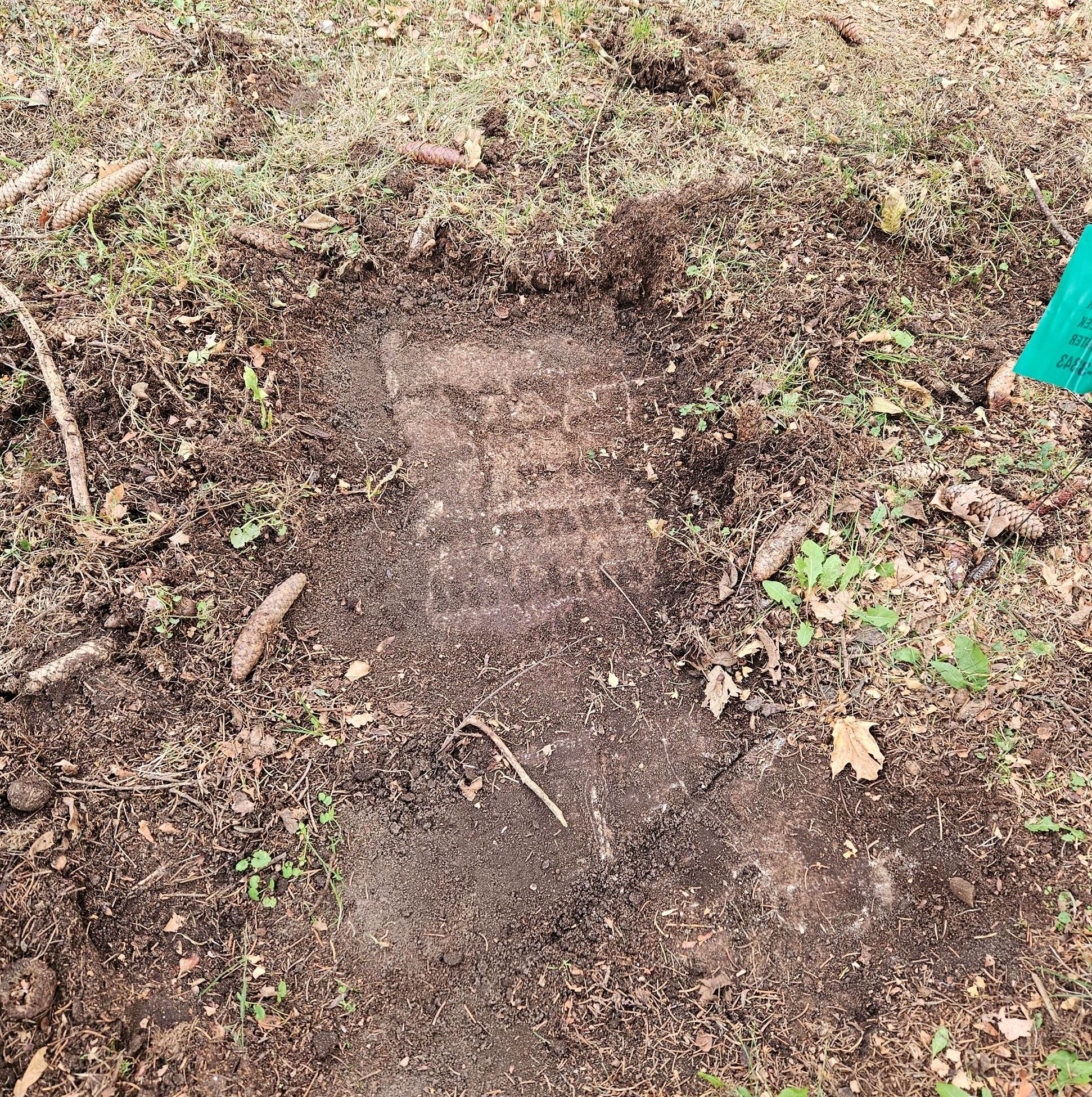 Photo of headstone located under the sod - flagged - Beckley Cemetery