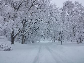 Helen Montgomery March 2014