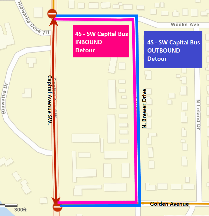 A city street map of the Battle Creek Transit bus detours (as a blue line and a pink line).