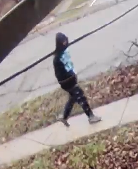 20250307-01 - Image 1