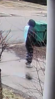 20250307-01 - Image 3