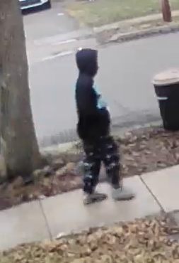 20250307-01 - Image 4