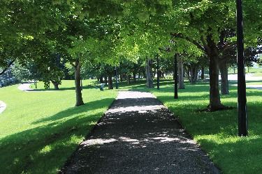 Linear Park path downtown next to the river Opens in new window